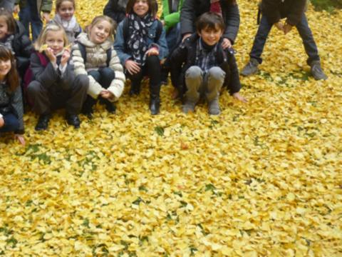 Redimensionnement de P1010362 Redimensionnement de P1010362