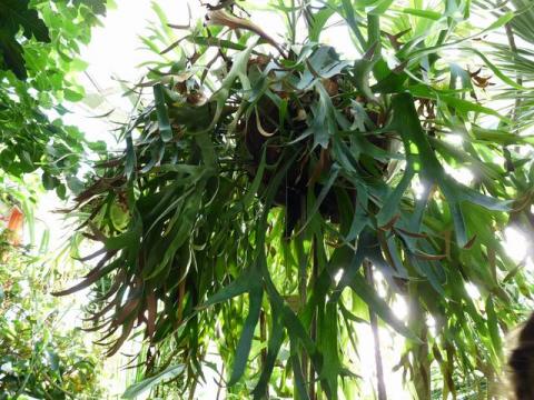 Redimensionnement de P1010483 Redimensionnement de P1010483