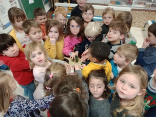 IMG_20211207_161332504 IMG_20211207_161332504