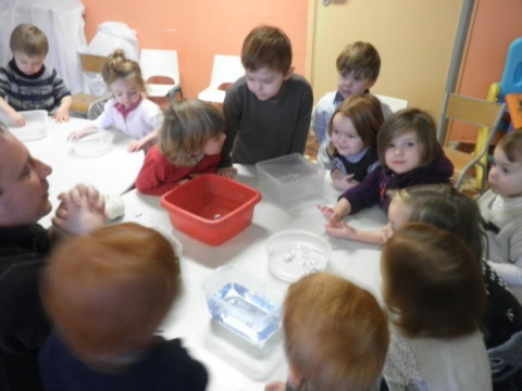 5116385-7634769 5116385-7634769