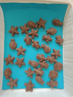 IMG_20220401_155730274 (1) IMG_20220401_155730274 (1)