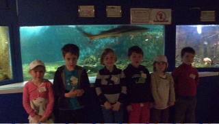 Redimensionnement de P1020421 Redimensionnement de P1020421