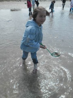 Redimensionnement de Rotation de 029 Redimensionnement de Rotation de 029