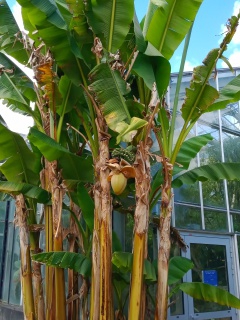 IMG_20220613_133148686 IMG_20220613_133148686