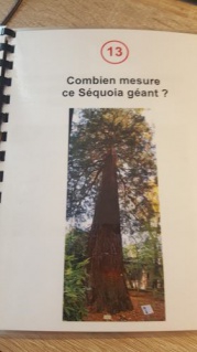 _copie-0_20220629_174426 _copie-0_20220629_174426