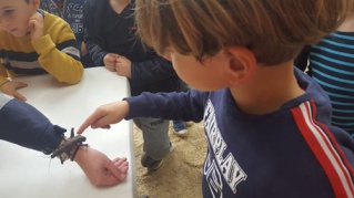 20221018_143705 - Copie 20221018_143705 - Copie