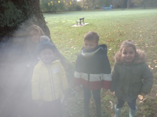 IMG_20221110_101359116 IMG_20221110_101359116