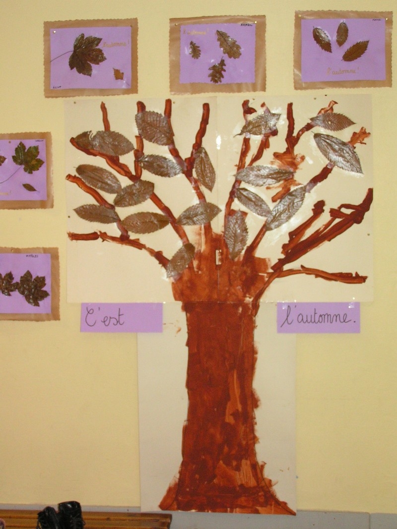 Notre arbre Notre arbre