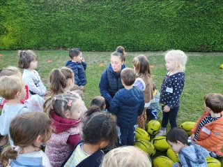 _copie-0_6 _copie-0_6