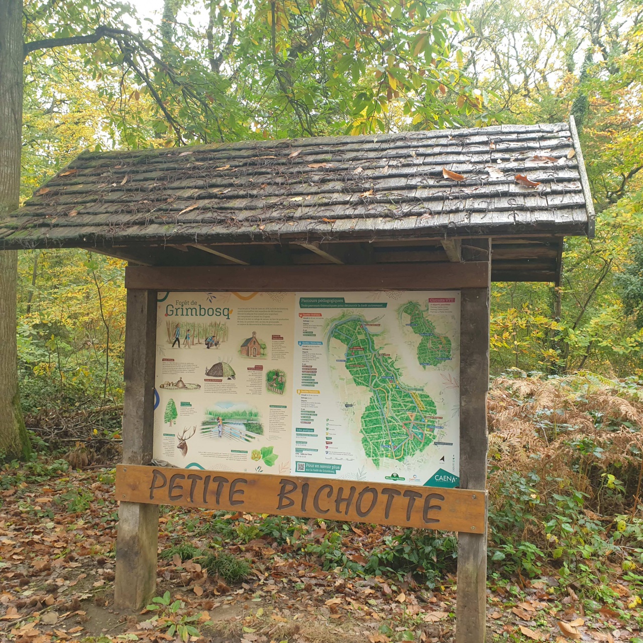 20231109_113721 20231109_113721