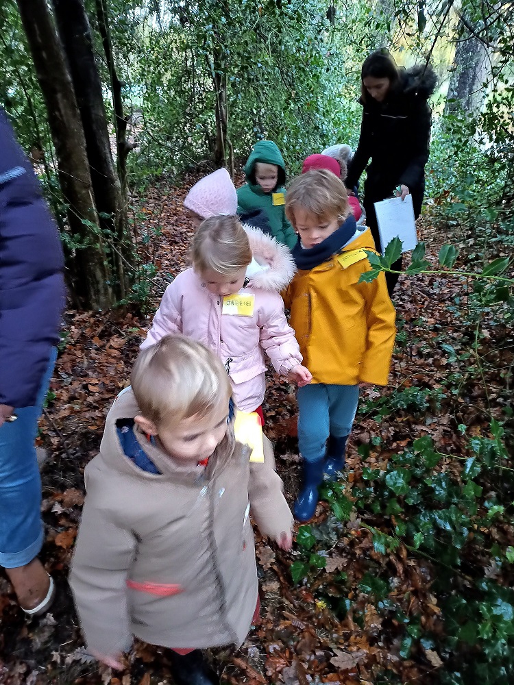 IMG_20231121_095143800 IMG_20231121_095143800