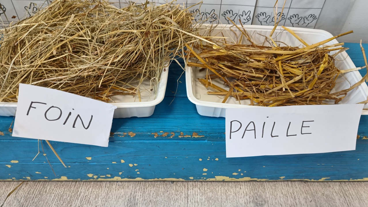 IMG_20240326_141002119 IMG_20240326_141002119