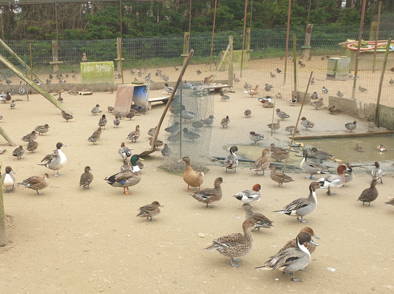 20240321_110944 20240321_110944