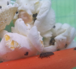 20140526_171418 20140526_171418