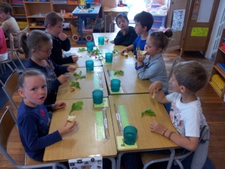 20140617_102817 20140617_102817