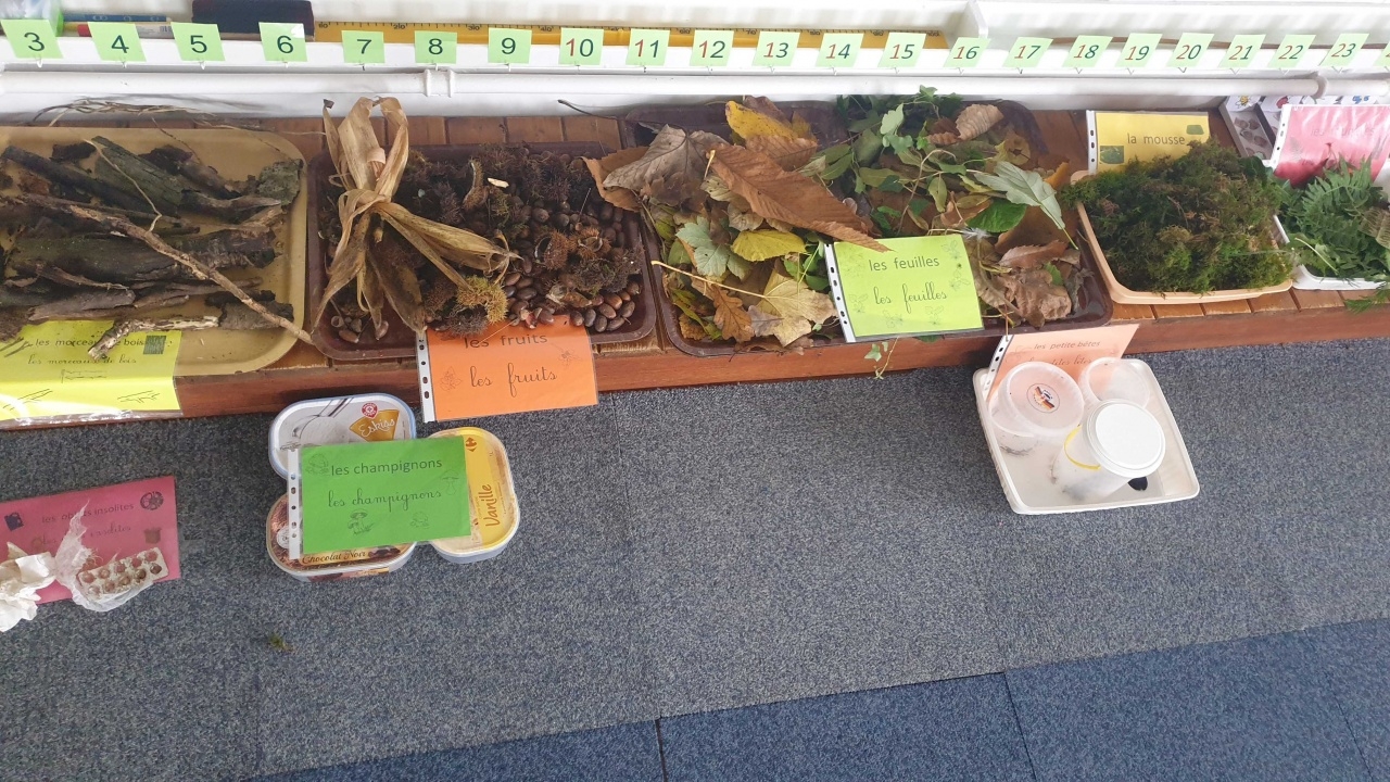 20241107_122138 20241107_122138