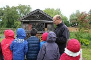 hôtel à insectes hôtel à insectes