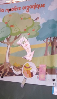 Rotation de Redimensionnement de P1050667 Rotation de Redimensionnement de P1050667