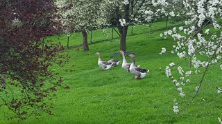 20170331_141137_resized 20170331_141137_resized