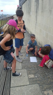 20170622_134328_resized 20170622_134328_resized