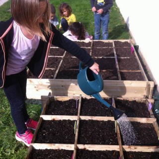 Redimensionnement de IMG_3041 Redimensionnement de IMG_3041