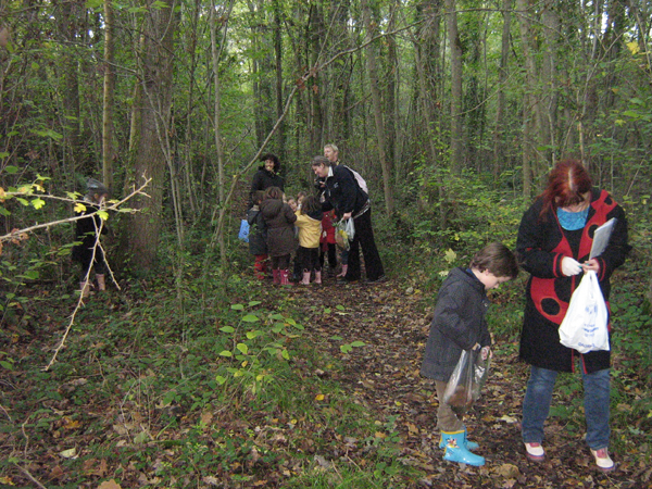 bois 065.jpg bois 065.jpg