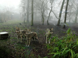 IMG_20180219_150320 IMG_20180219_150320