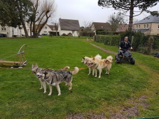 20180219_153730 20180219_153730