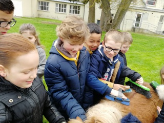 IMG_20180413_115650 IMG_20180413_115650