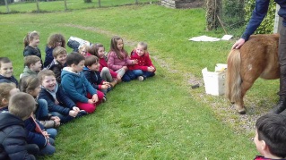 Redimensionnement de 20180413_150539 Redimensionnement de 20180413_150539