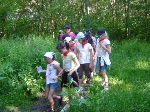 DSC06976.JPG DSC06976.JPG