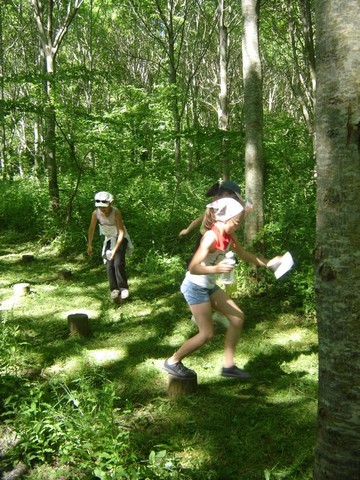 DSC06995.JPG DSC06995.JPG