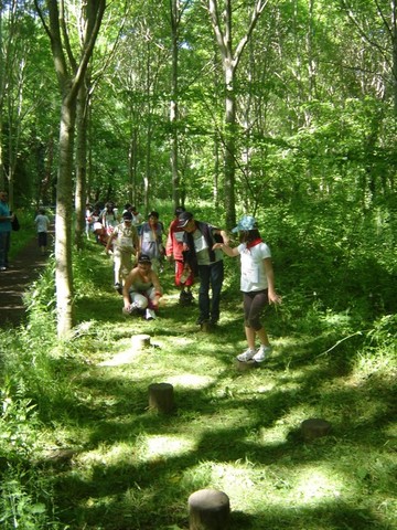 DSC06996.JPG DSC06996.JPG