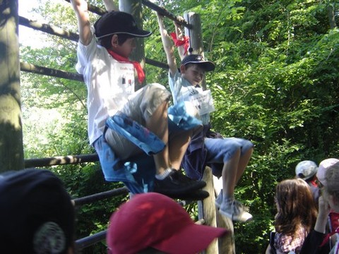 DSC06997.JPG DSC06997.JPG