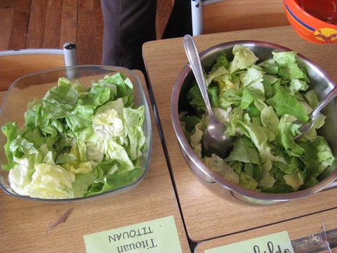 salade 017.jpg salade 017.jpg
