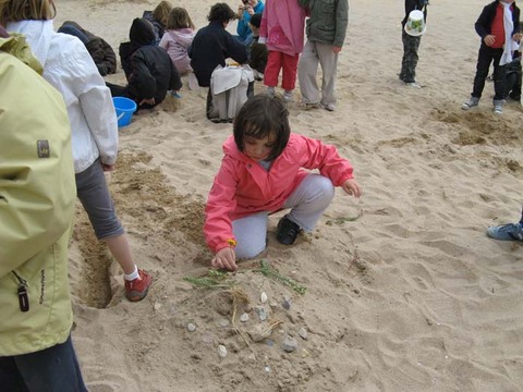 plage 047.jpg plage 047.jpg