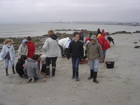 DSC07195.JPG DSC07195.JPG