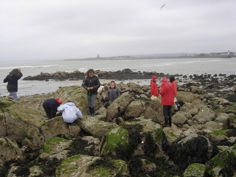 DSC07187.JPG DSC07187.JPG