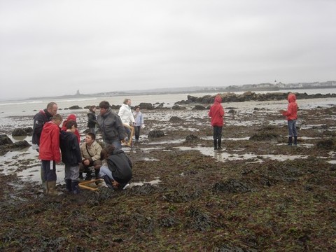 DSC07175.JPG DSC07175.JPG