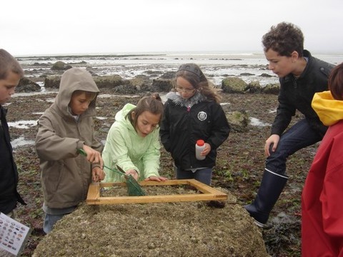 DSC07173.JPG DSC07173.JPG