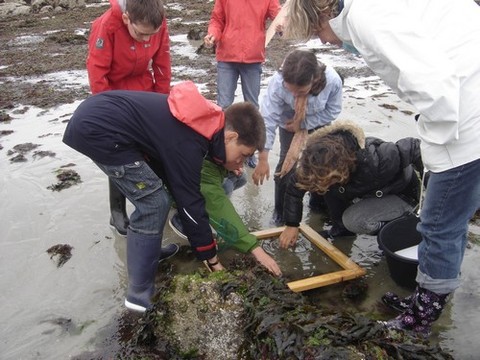 DSC07165.JPG DSC07165.JPG