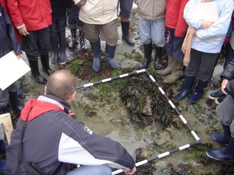 DSC07161.JPG DSC07161.JPG