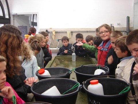 DSC07150.JPG DSC07150.JPG