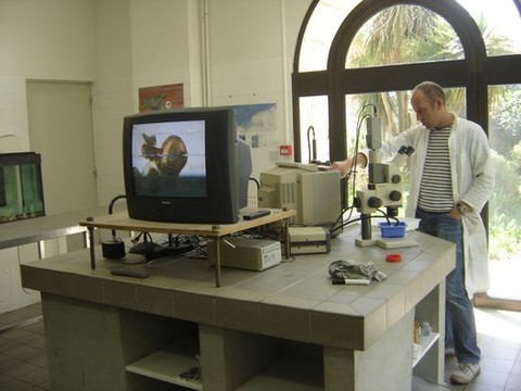 DSC07238.JPG DSC07238.JPG