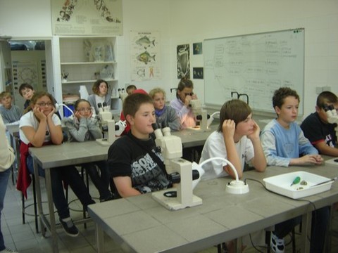 DSC07237.JPG DSC07237.JPG