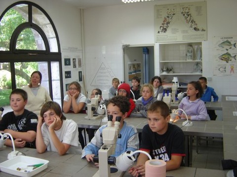 DSC07236.JPG DSC07236.JPG