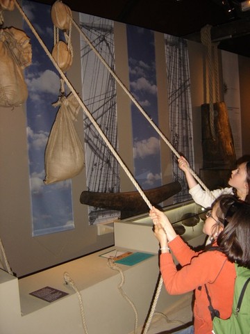 DSC07233.JPG DSC07233.JPG