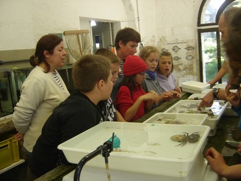 DSC07229.JPG DSC07229.JPG