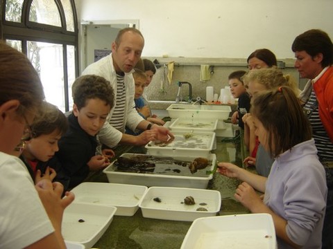 DSC07228.JPG DSC07228.JPG