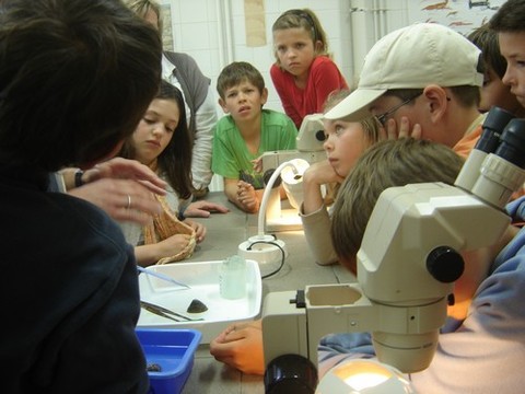 DSC07223.JPG DSC07223.JPG